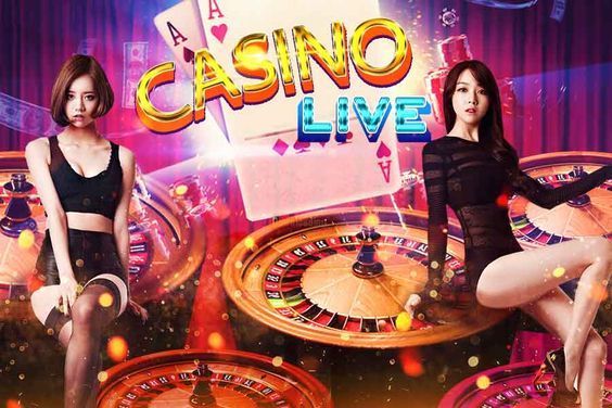 pakrummycom Live Betting